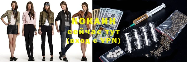 соль ск Абаза