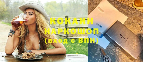 соль ск Абаза
