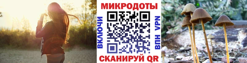 blacksprut маркетплейс  Сафоново  Псилоцибиновые грибы Psilocybe  что такое наркотик 