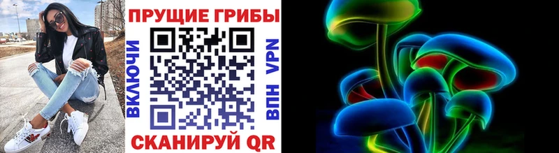 Псилоцибиновые грибы Psilocybine cubensis Сафоново